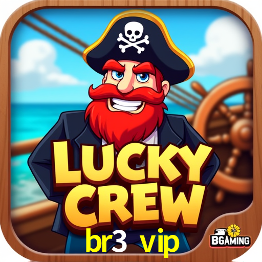 Security Systems br3 vip